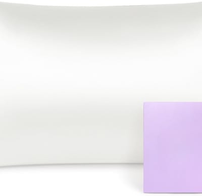 Famanu - 16 momme zijde kussensloop natuurlijke moerbeizijde kussensloop vhaar en huidverzorging 1 stuk – ivoor, 50 x 70 cm