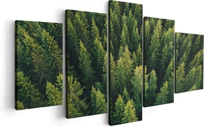 Artaza Canvas Schilderij Vijfluik Bos Met Bomen Vanaf Boven - 100x50 - Foto Op Canvas - Canvas Print