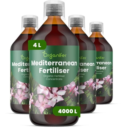 Vloeibare Meststof Voor Mediterrane Planten 4X1L Voor 4000 L - Npk 3-4-3 - Stimuleert Krachtige Groei En Dichte Vertakking Bij Mediterrane Planten - Bevordert Bloei - Knopvorming En Vruchtontwikkeling - Versterkt Het Wortelstelsel - Organifer