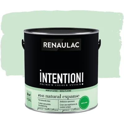 Renaulac Intention Muurverf - Extra Mat - Natural Expanse - 2,5l
