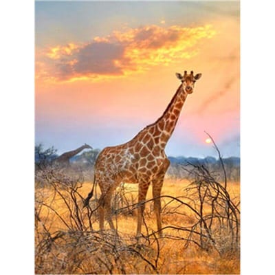 Herten dieren DIY schilderij muur kunst foto kleuren schilderij cadeau voor woonkamer kunstwerk 20X30CM beige