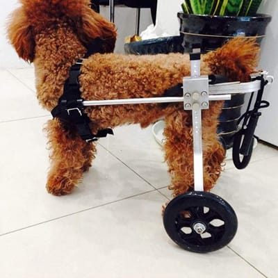 Hondenrolstoel - Huisdieren rolstoel - Mobiliteit Herstellen - Verstelbaar Ontwerp - Kleine tot middelgrote honden - Zilver