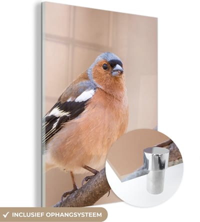MuchoWow® Glasschilderij 30x40 cm - Schilderij acrylglas - Vogel - Dieren - Vink - Foto op glas - Schilderijen
