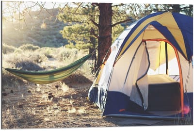 Dibond - Tent met Hangmat in de Bossen - 90x60cm Foto op Aluminium (Wanddecoratie van metaal)