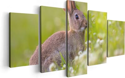 Artaza Canvas Schilderij Vijfluik Konijn Tussen De Witte Bloemen - 100x50 - Foto Op Canvas - Canvas Print