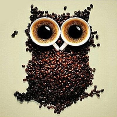 Borduurpakket DIY diamant borduurwerk koffie uil diamant schilderij mozaïek Home decor 30X30CM brown