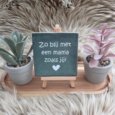 Robuust wenstegeltje – Zo Blij met een Mama zoals Jij – 10x10 cm – Lief Cadeau voor Moederdag, Mama's Verjaardag of Zomaar voor Mama – Wanddecoratie – Trendy nu