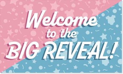BTH - Gevelvlag Gender Reveal - 150x90cm - XXL Polyester Vlag - Vlag - Feestvlaggen - Flag - Verjaardag - Decoratie - 1x