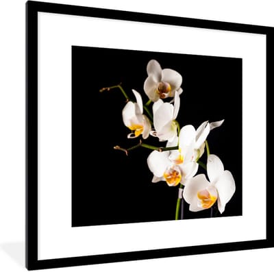 Fotolijst incl. Poster - Orchidee - Bloemen - Planten - Botanisch - 40x40 cm - Posterlijst