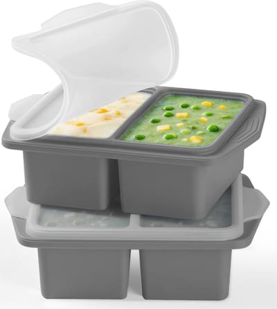 Bakjes met Deksel BPA-Vrije, 250ML Grote Voedsel Vriesvorm, Geschikt voor Oven en Vaatwasser, 2 Stuks Stapelbare Voedselvorm voor Soep Eten Bouillon (GRIJS, 250 ML)