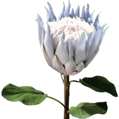 Simulatie Protea Bloem Kunstmatige Gevlokte Bloem Fotografie Requisieten Huisdecoratie Nepbloem gray