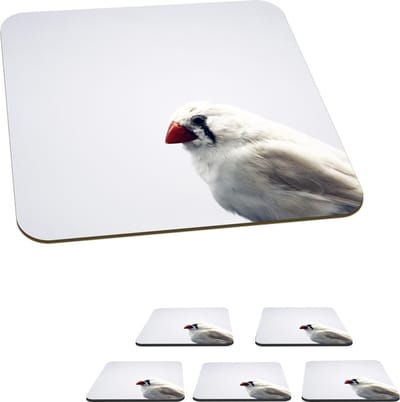 Onderzetters voor glazen - Een close up van een mooie witte Zebravink - 10x10 cm - Glasonderzetters - 6 stuks
