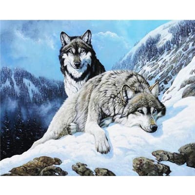 Peinture de diamant de loup, mosaïque d'animaux, décoration de maison, broderie d'art en diamant, cadeau fait à la main 20X30CM gray