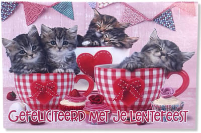 Lentefeest Wenskaart Kittens - 12x17cm - Gevouwen kaart inclusief envelop