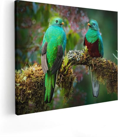 Artaza Canvas Schilderij Vogels - 100x80 cm - Groot - Wanddecoratie Tak - Muurdecoratie Groen - Schilderijen Op Canvas Jungle