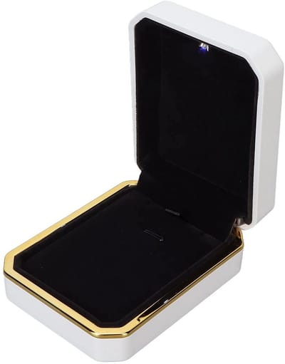 Dailygoody - Luxe Pendant Box - Sieraden Organizer - Met LED Licht - Geschikt voor Ringen en Kettingen - Perfect voor Armbanden - Elegante Opberging -