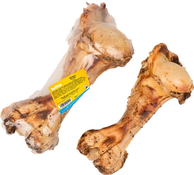 Boomy - Dino bot - Natuurlijke hondensnacks - Kauwbotten hond - Kauwbeen hond - Groot kauwbeen - 1 stuk
