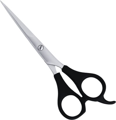 Guardian Beauty Schaar - 5,5 Inch - Roestvrij Staal - Knipschaar met Etui - Kappersgereedschap