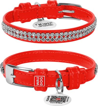 WAUDOG Glamour Halsband / Hondenhalsband - Echt Leder - Rood met Strass steentjes - XXS - Breedte: 9 mm - Nekomtrek: 19 - 25 cm (GELIEVE ALVORENS BESTELLEN OPMETEN)