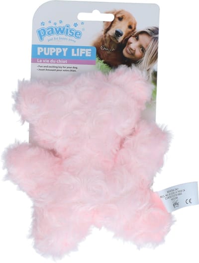 Pawise Puppy Hondenknuffel My Bear – Hondenspeelgoed met Pieper – Zachte Knuffel - Piepspeelgoed - Roze, blauw of paars