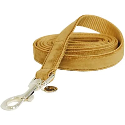 Kentucky Dogwear - Hondenlijn - Maat S - Velvet - Mosterd - Lengte 120 cm
