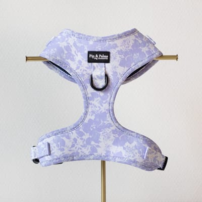 Pip & Palms - Hondenharnas Li La Lilac - Paars - Maat XXS - Hondentuig - Verstelbaar - Y Tuig Hond - Zachte Voering - voor Kleine honden
