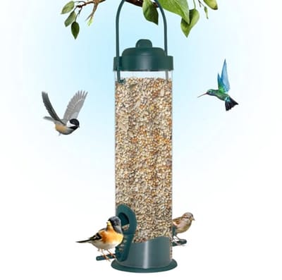 Eekhoornbestendige vogelvoederbuis voor wilde vogels - 2-poorts, weerbestendig en droogbaar