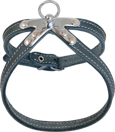 Jack And Vanilla - Tuigen - Jv Vetleder Springtuigje Grijs-10mmx50cm 47/0031 - 228835