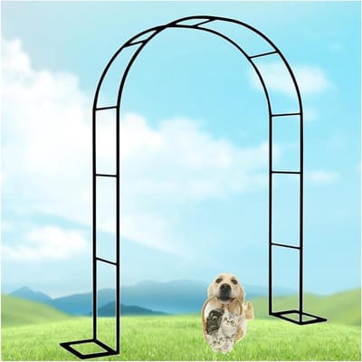 Rozenboog van metaal, rankrooster, rozenrek, gegalvaniseerd, tuinboog, klimhulp, klimhulp voor klimplanten, bruiloftsdecoraties, zwart, breedte 120-350 cm, B 120 x H 220 cm