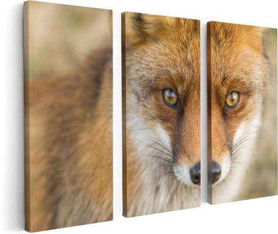 Artaza Canvas Schilderij Drieluik Vossenkop met Bruine Ogen - Vos - 120x80 - Foto Op Canvas - Canvas Print