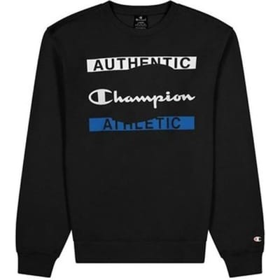 Sweaters Champion Crewneck Sweatshirt