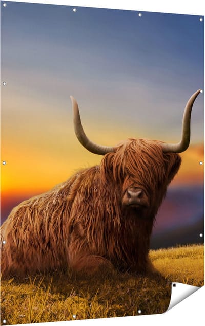 Gards Tuinposter Schotse Hooglander Koe op een Heuvel - 120x160 cm - Tuindoek - Tuindecoratie - Wanddecoratie buiten - Tuinschilderij