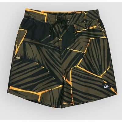 Quiksilver Everyday Printed Volley 14´´ Zwembroek Groen 14 Years Jongen