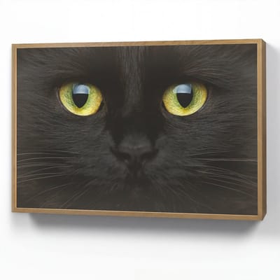 Wandlamp 90x60 cm - Oplaadbaar - Kat - Zwart - Dieren - Natuur - Wandlampen binnen woonkamer - Slaapkamer lamp - Decoratieve nachtlamp - Vloerlamp draadloos