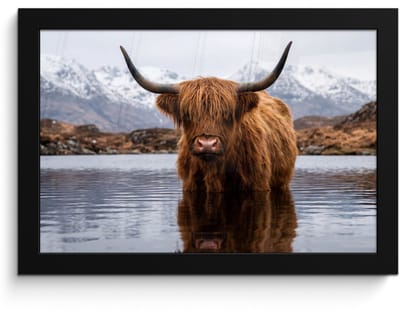Poster in lijst - Fotolijst 30x20 cm - Posters - Schotse hooglander - Bruin - Water - Posterlijst zwart - Decoratie - Wanddecoratie woonkamer - Muurdecoratie slaapkamer