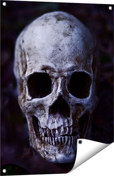 Gards Tuinposter Schedel - Doodshoofd - 60x80 cm - Tuindoek - Tuindecoratie - Wanddecoratie buiten - Tuinschilderij
