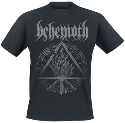Behemoth T-shirt - Furor Divinus - S tot XXL - voor Mannen - zwart