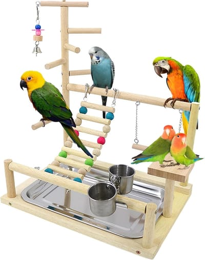 Speelplaats voor vogels, speeltuin voor parkieten en papegaaien met voerbak en tray (44 x 37 x 26 cm)
