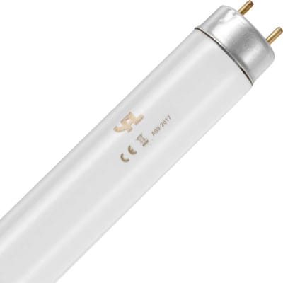 Schiefer G13 T8 TL-Buis | 18W 4000K 1300lm 840 | 604mm
