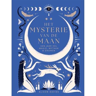 Het Mysterie Van De Maan - Het Mysterie Van - Alison Davies