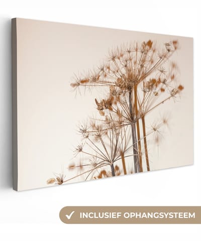 Canvas schilderij 30x20 cm - Wanddecoratie Droogbloemen - Stilleven - Wit - Planten - Bloemen - Muurdecoratie woonkamer - Slaapkamer decoratie - Kamer accessoires - Schilderijen op canvas