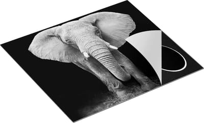 Chefcare Inductie Beschermer Olifant - Zwart Wit - 60x50 cm - Afdekplaat Inductie - Kookplaat Beschermer - Inductie Mat