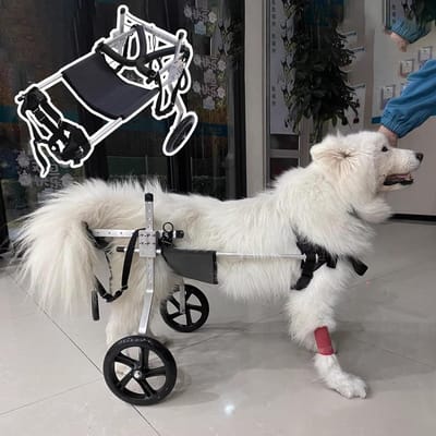 Hondenrolstoel - Hulpmiddel achterpoten - Huisdier mobiliteit - Verstelbaar ontwerp - 2-wiel - Grijs