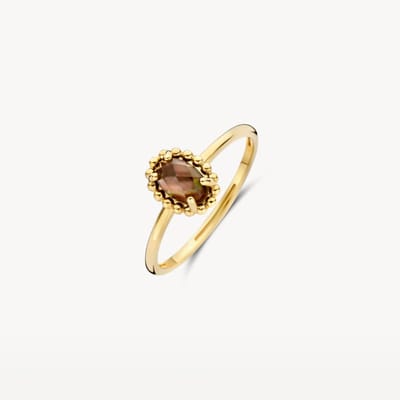 Blush Gouden Ring Ring 1272YBQ/54 | gouden ring ringmaat 54 | sieraden voor dames, elegante stijl, tijdloos ontwerp