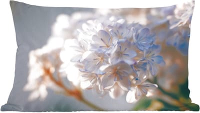 Sierkussens - Kussentjes Woonkamer - 60x40 cm - Bloemen - Lichtblauw - Wazig - Trosje