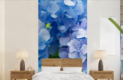 Behang - Fotobehang Hortensia - Waterdruppel - Bloemen - Botanisch - Blauw - Breedte 120 cm x hoogte 240 cm