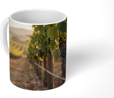 Mok - Koffiemok - Druiven - Wijngaard - Zonlicht - Mokken - 350 ML - Beker - Koffiemokken - Theemok