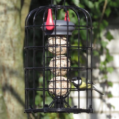 Petface Loktop Eekhoorn bestendige Mezenbol Feeder