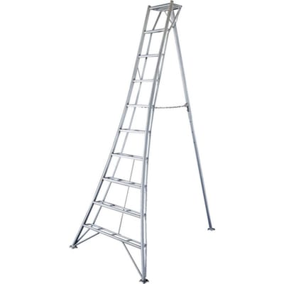 Niwaki Driepoot tuinladder 300 cm snoeiladder tripod ladder plukladder nw03000