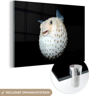 MuchoWow® Glasschilderij 120x80 cm - Schilderij acrylglas - Vis - Zeedieren - Portret - Foto op glas - Schilderijen